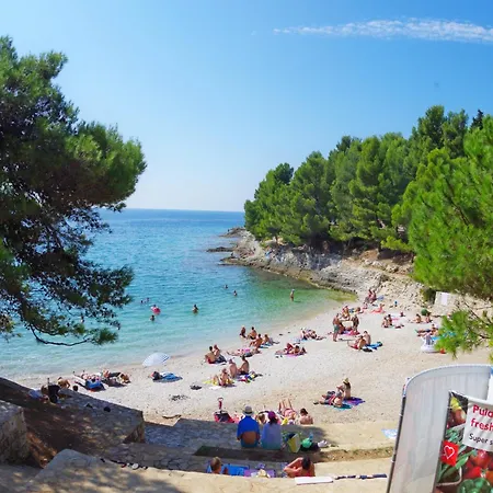 Cony And Tara * Pula