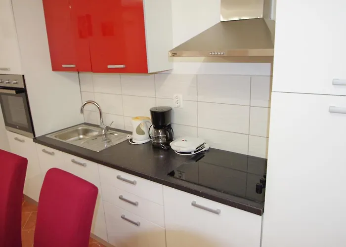 Cony And Tara * Pula